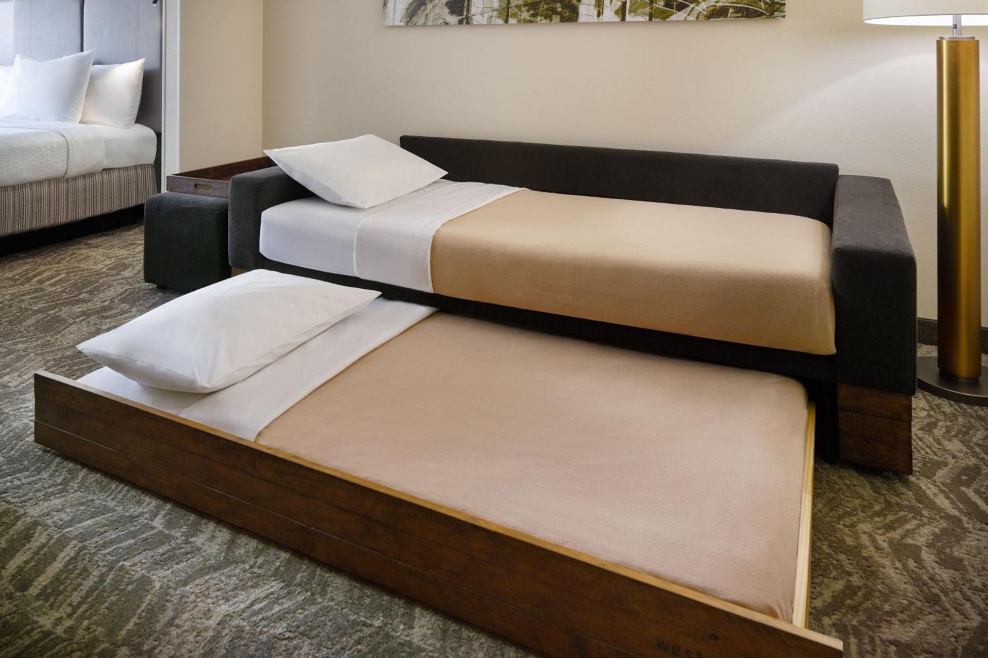 Springhill Suites Raleigh-Durham Airport/Research Triangle Park Dış mekan fotoğraf